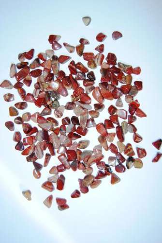 Brecciated Jasper - Size 1LG