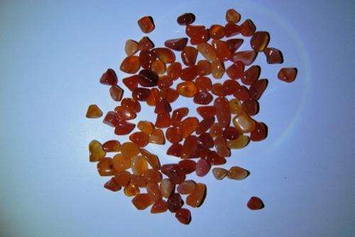 Carnelian - Agate - Size 2