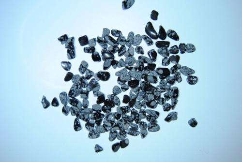 Snowflake Obsidian - Size 2
