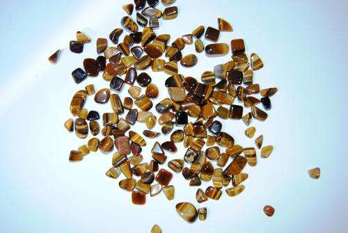 Tigers Eye - Gold - Size 1LG