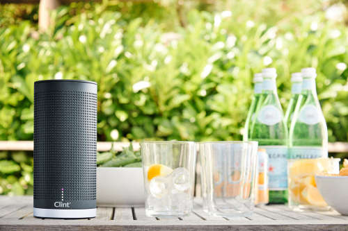 Clint Asgard Freya Wireless Bluetooth Speaker