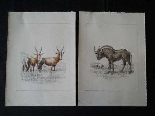 Four Original Dick Findlay Mixed Media Artworks (Unframed)