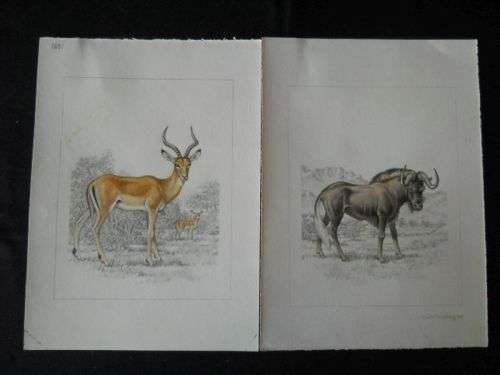 Four Original Dick Findlay Mixed Media Artworks (Unframed)
