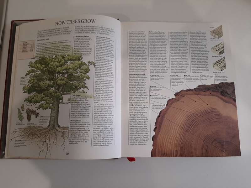 COLLINS COMPLETE WOOD WORKER`S MANUEL - Albert JACKSON - DAVID DAY