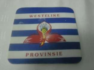 WP- Coaster