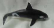 Killer Whale (+-3 cm High) (+-10 cm Long)