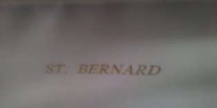 St Bernard Ballpoint Pen and Roller Pen Set