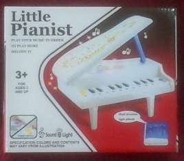 Little Pianist