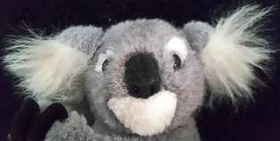 Plush Toy - Koala +/- 13 cm