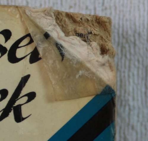 Book  -.Blokraaisel Woordeboek (L.L. Paswgroun)