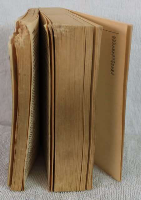Book  -.Blokraaisel Woordeboek (L.L. Paswgroun)