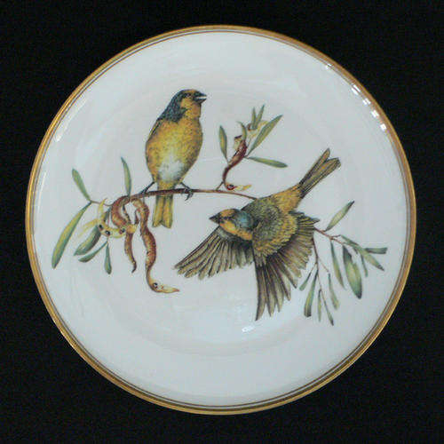 LIZ McMAHON - Heritage Porcelain - South African Artist - Cape Canary