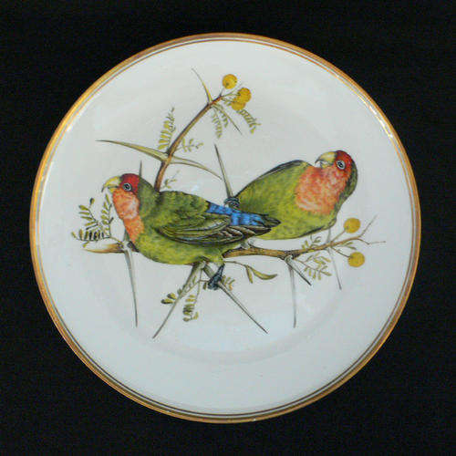 LIZ McMAHON - Heritage Porcelain - South African Artist - Rosy Faced Love-Bird