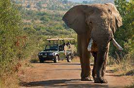 Bakubang 2Bed 4/6 Sleeper 9th - 13 March Pilanesberg Nathional Park