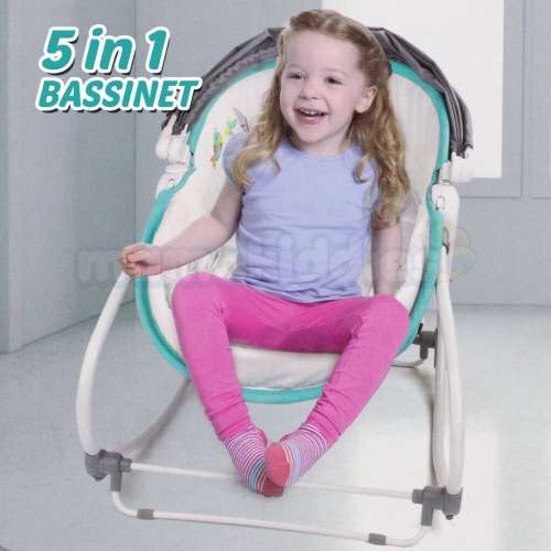 5-in-1 Rocker Bassinet
