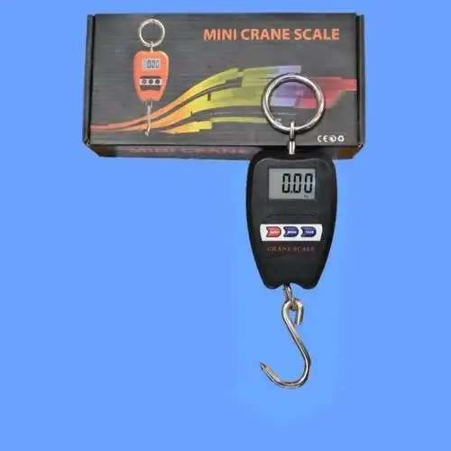 200KG MINI CRANE SCALE