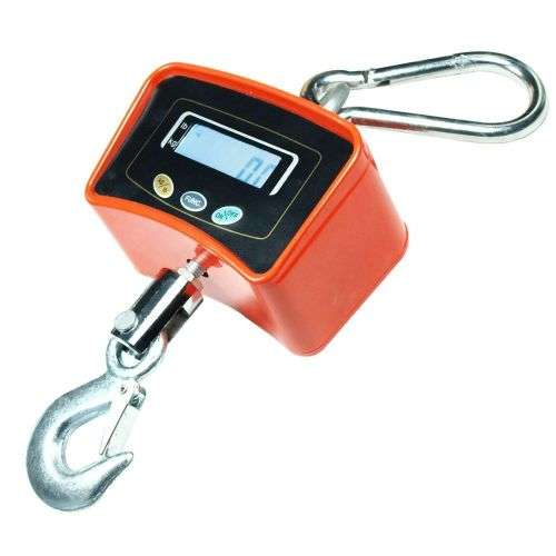 500Kg Crane Scale
