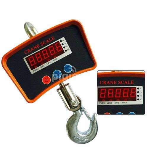 500Kg Crane Scale
