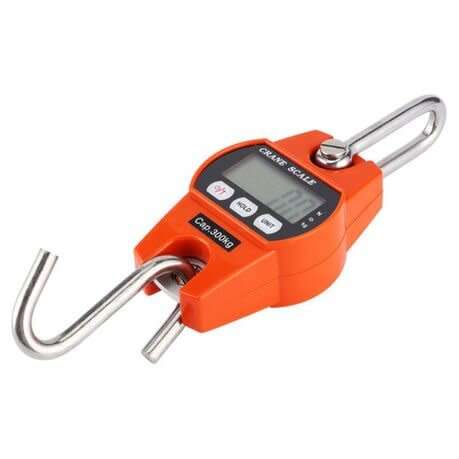 300Kg digital Crane Scale