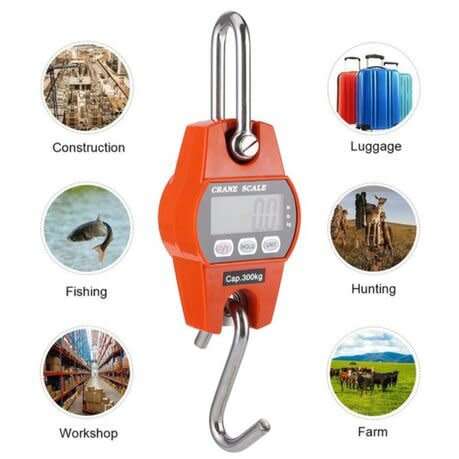 300Kg digital Crane Scale
