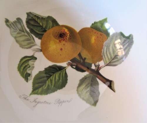 Two beautiful highly Collectible Portmeirion Bowls, one Botanic garden, other Pomona VGC