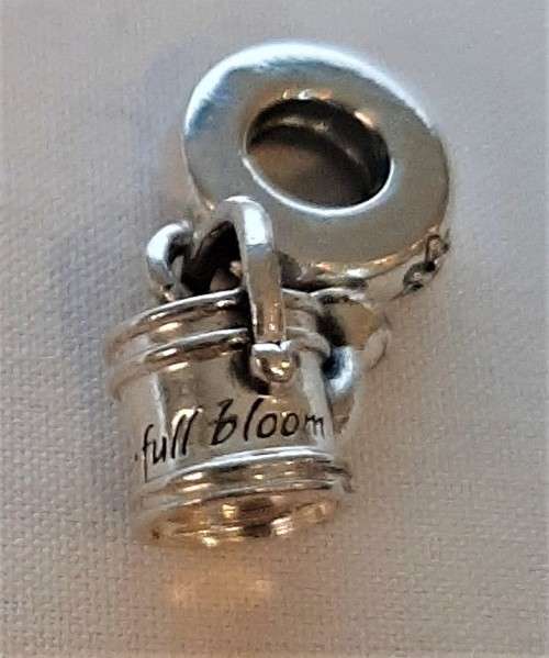 Amazing lot~Authentic Sterling 925 silver Pandora Bracelet with 7 starter charms.