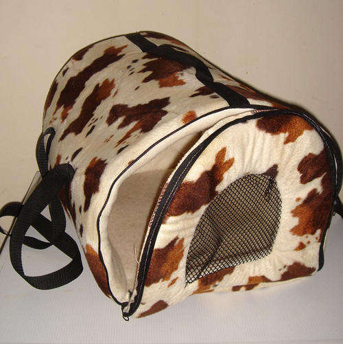 Kitty carry case
