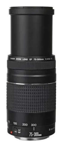 Canon EF 75-300mm 4-5.6 Mark iii