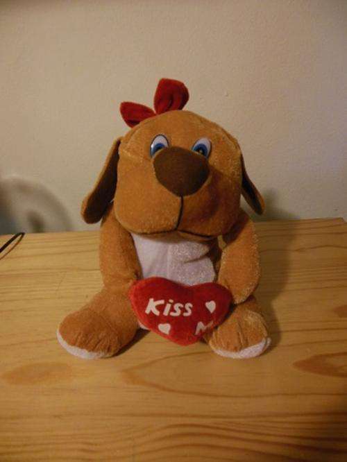 Kiss Me Puppy