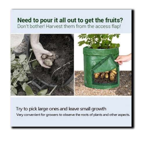Grow Bags