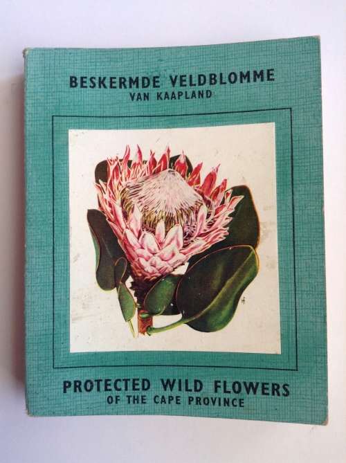 Protected Wild Flowers of the Cape Province by Kidd, M.M., Olivier, P.J. (foreword)