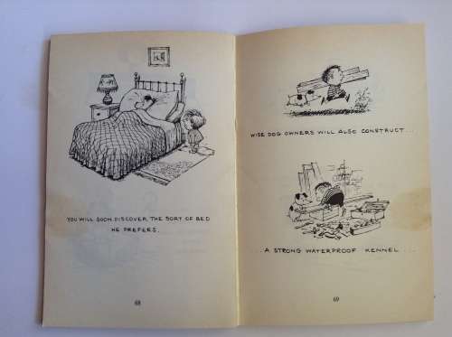 Top Dog by Norman Thelwell