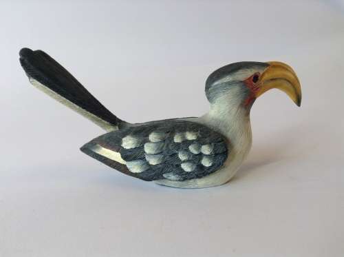 Feathers of Knysna: Yellowbilled Hornbill NUMBERED EDITION
