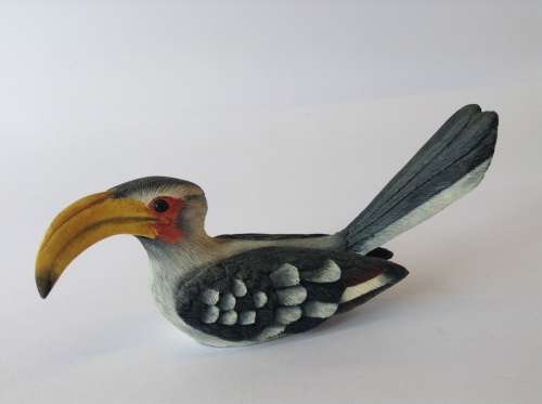 Feathers of Knysna: Yellowbilled Hornbill NUMBERED EDITION