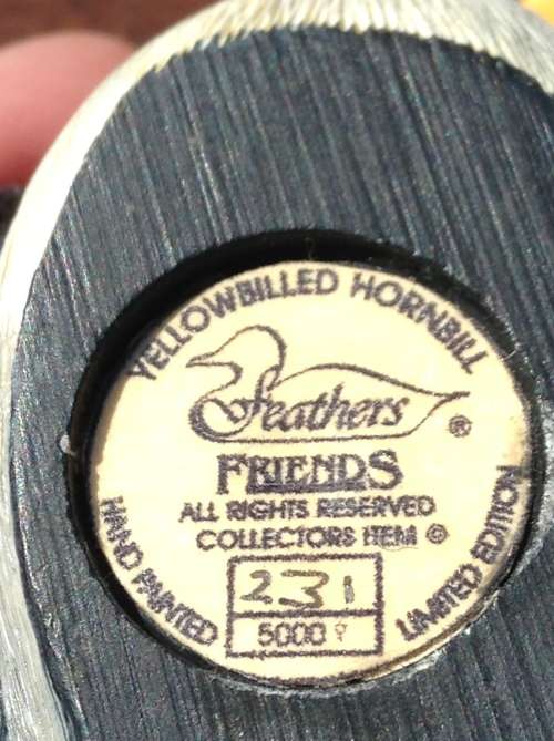 Feathers of Knysna: Yellowbilled Hornbill NUMBERED EDITION
