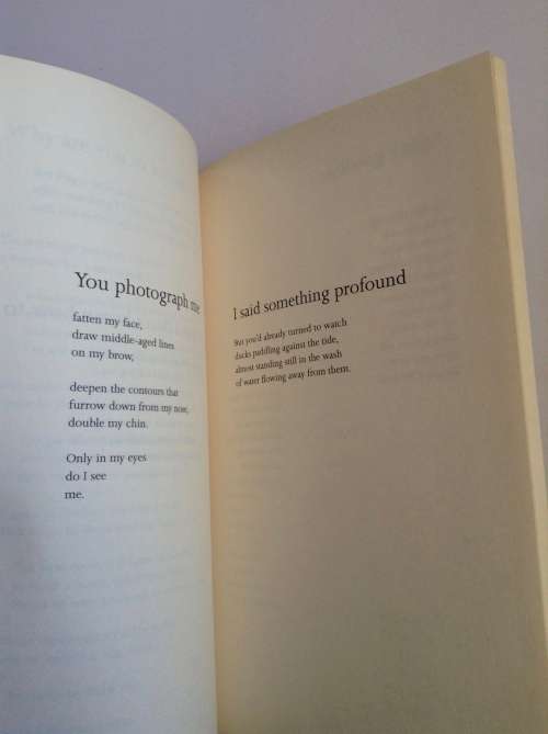 These Are the Lies I Told You by Kerry Hammerton