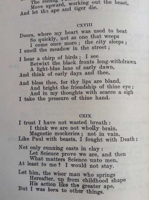 The English Parnassus: an anthology chiefly of longer poems 1916