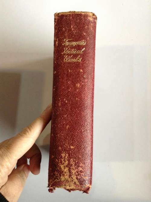 Poetical Works Of Alfred Lord Tennyson