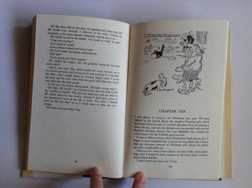 Vets Might Fly by James Herriot FIRST EDITION