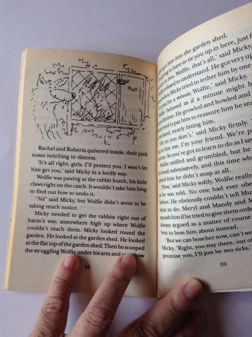 The Werepuppy by Jacqueline Wilson, Janet Robertson (Illustrator)