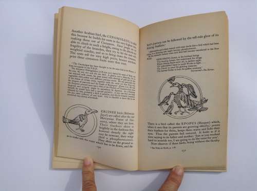 The Bestiary: A Book of Beasts by T.H. White  (Illustrated)