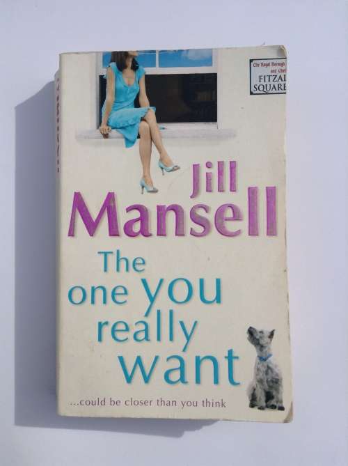 The One You Really Want by Jill Mansell