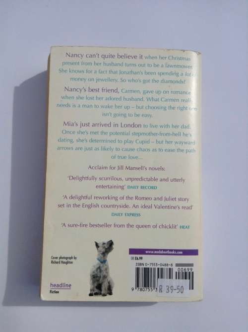 The One You Really Want by Jill Mansell