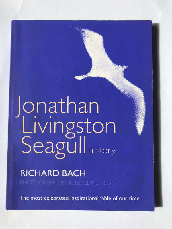 Jonathan Livingston Seagull by Richard Bach, Russell Munson (Illustrator)