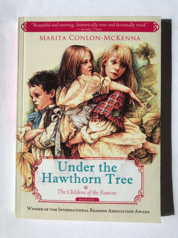 Under the Hawthorn Tree by Marita Conlon-McKenna
