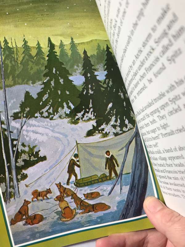 The Call of the Wild by Jack London (Illustrated)