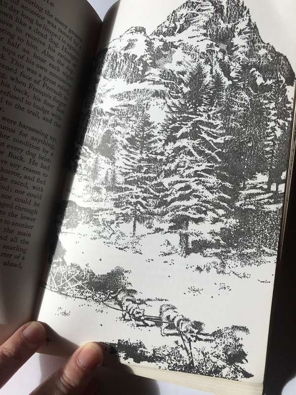 The Call of the Wild by Jack London
