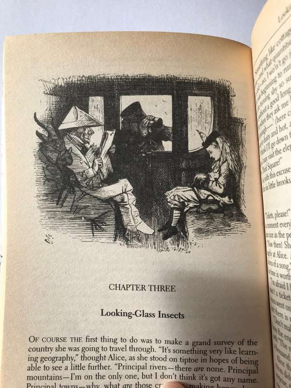 Through the Looking-Glass by Lewis Carroll