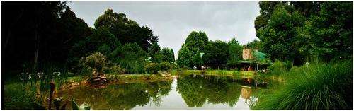 SUPERB LONG WEEKEND GETAWAY FOR 8 to Dunkeld Country Estates-27-30 Apr '12
