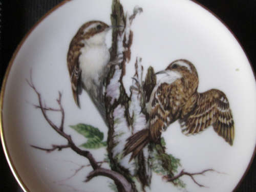 4 Small Coalport British Bird Plates